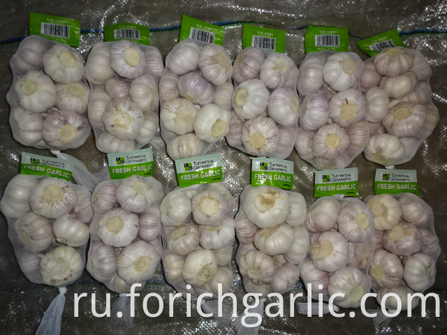 Normal White Garlic Of Fresh 2019